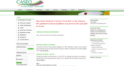 Desktop Screenshot of caseo.fr